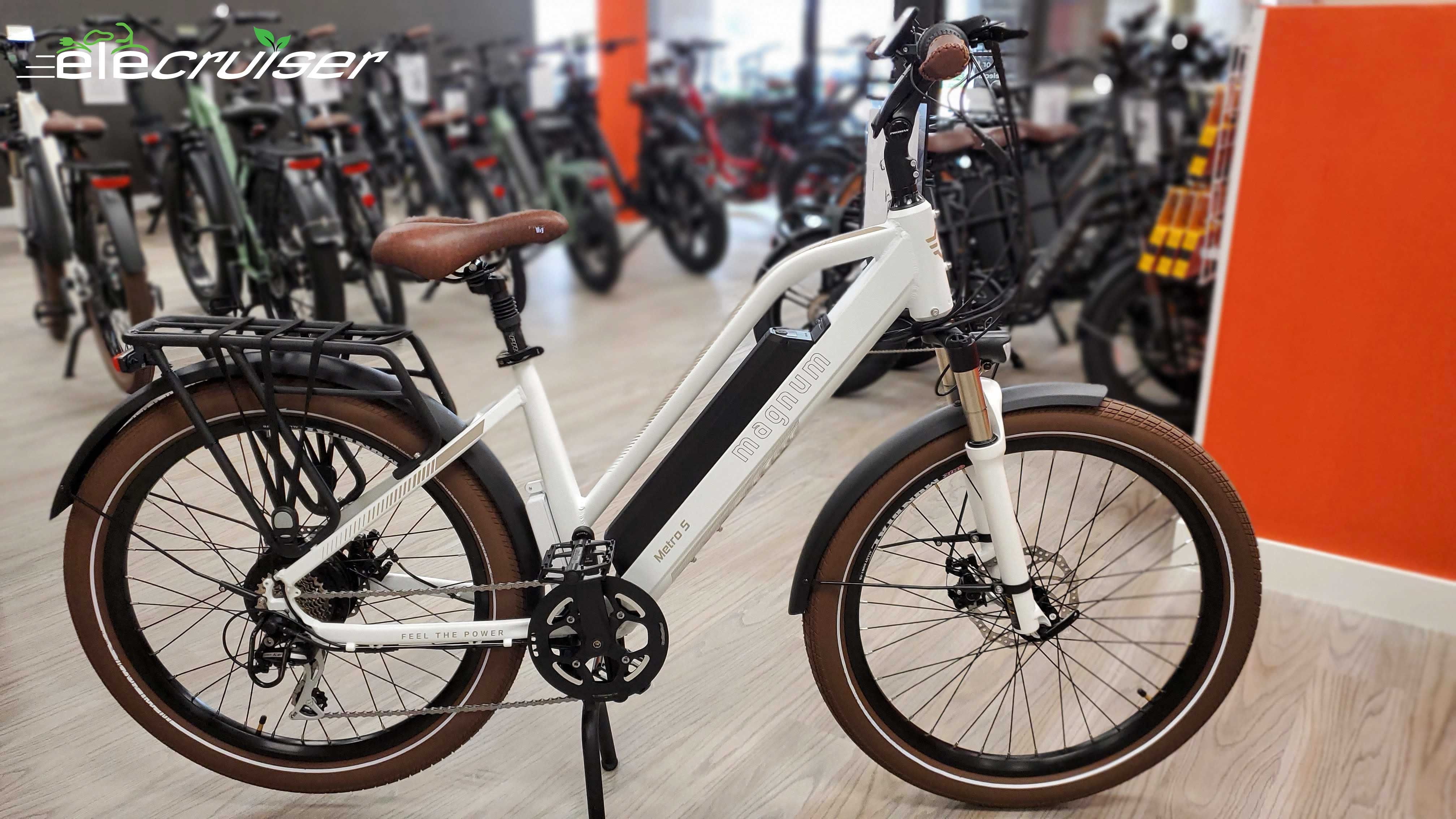 Thick Tire Electric Bikes